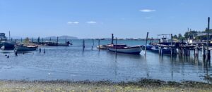 Fishing boats near Messolonghi