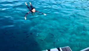 Amanda swimming with fish in the Ionian Sea